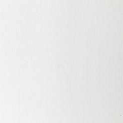 DTM DryToner Paper Antique White 