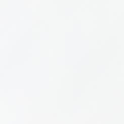 DTM DryToner Poly White Matte 