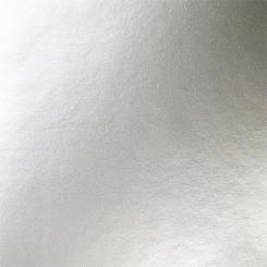 DTM DryToner Paper Satin Silver 