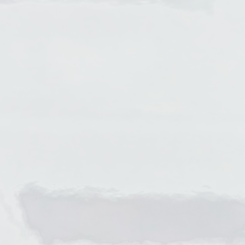 DTM DryToner Poly PET Trans. Gloss 