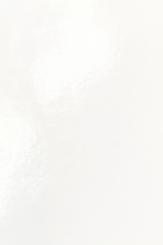 DTM DryToner Paper Top High Gloss 