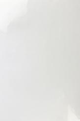 DTM DryToner Poly White Gloss 