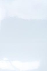 DTM DryToner Poly PET White Gloss 